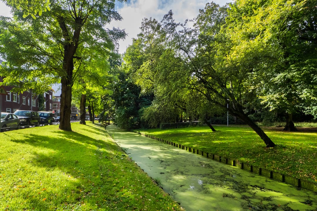 Foto 37 van Oudwijkerdwarsstraat 11