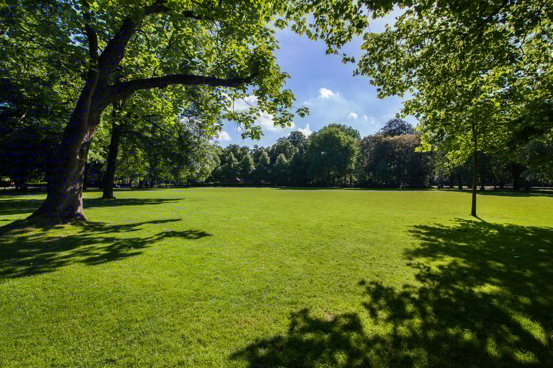 Foto 38 van Oudwijkerdwarsstraat 11