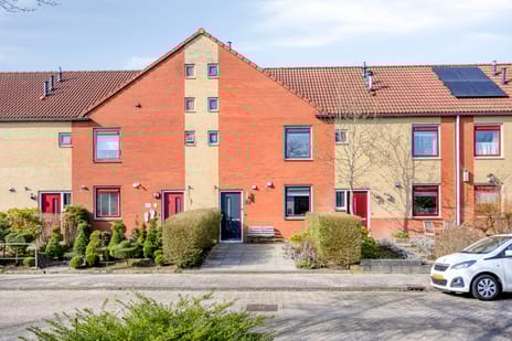 undefined main image