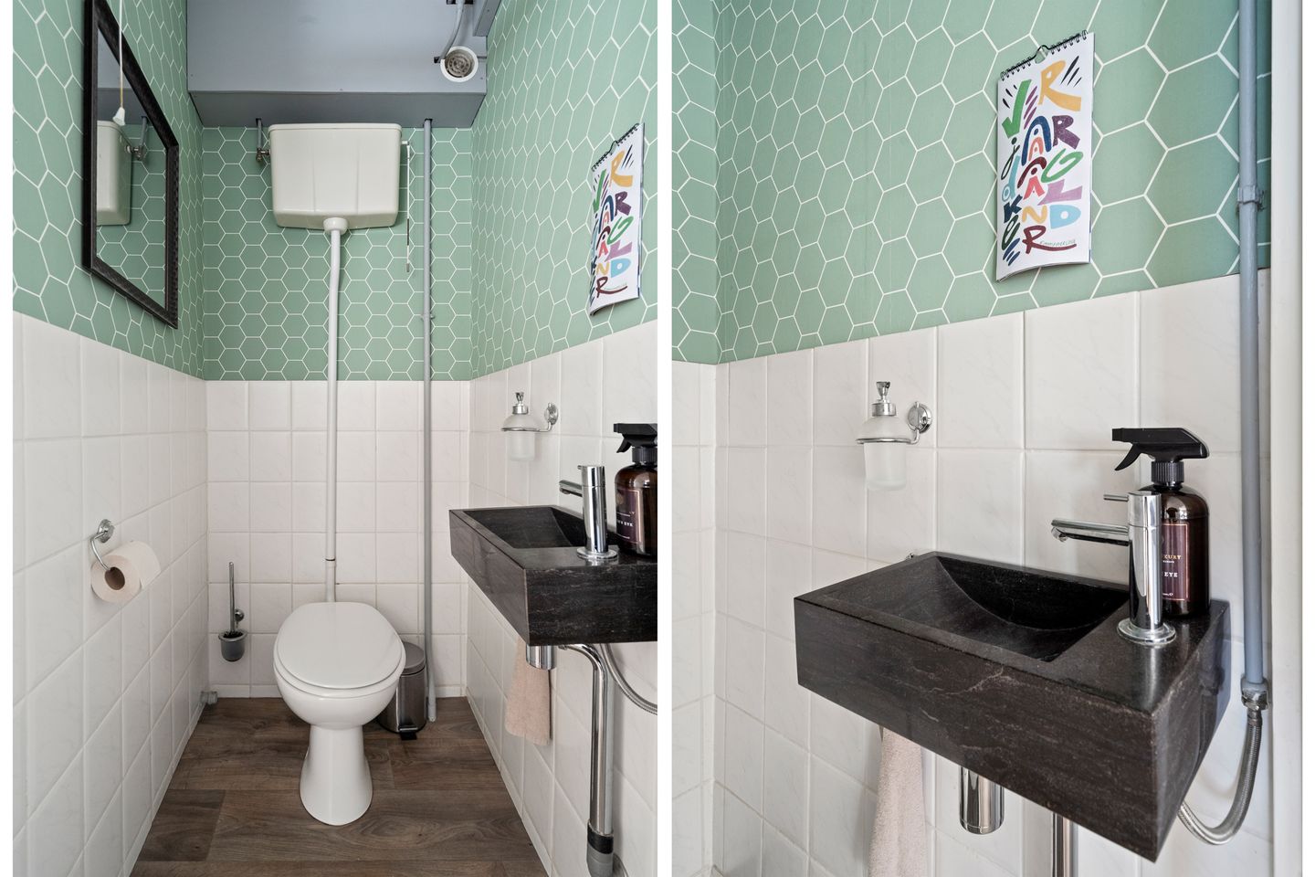 Foto 5 van Fruinplantsoen 102