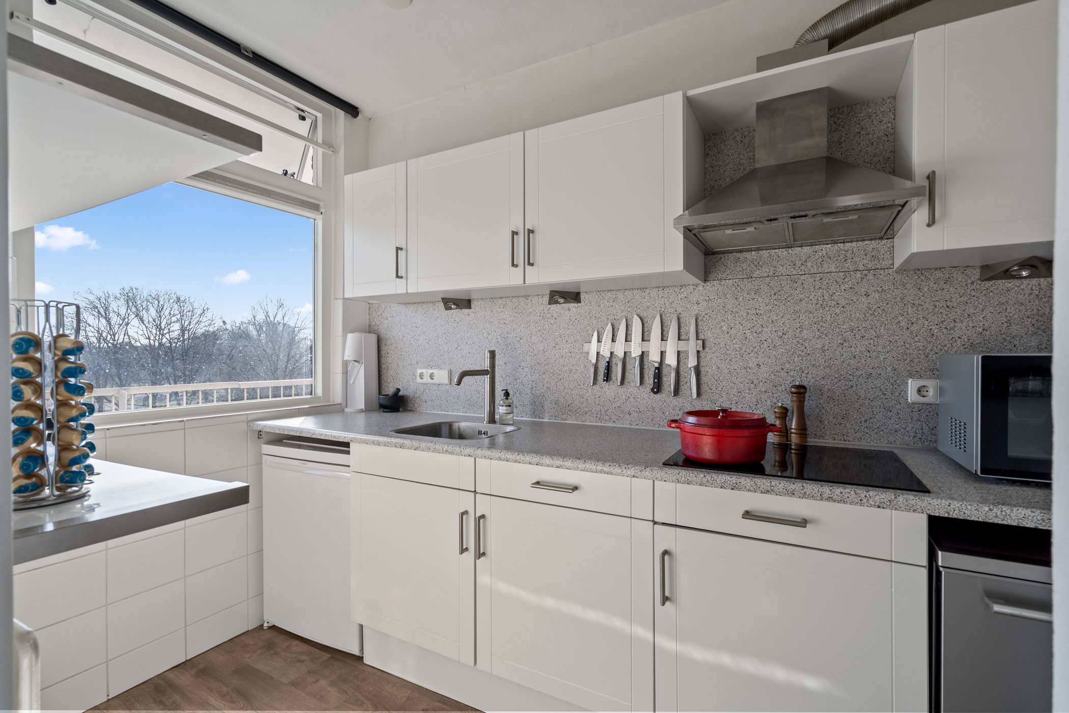 Foto 12 van Fruinplantsoen 102