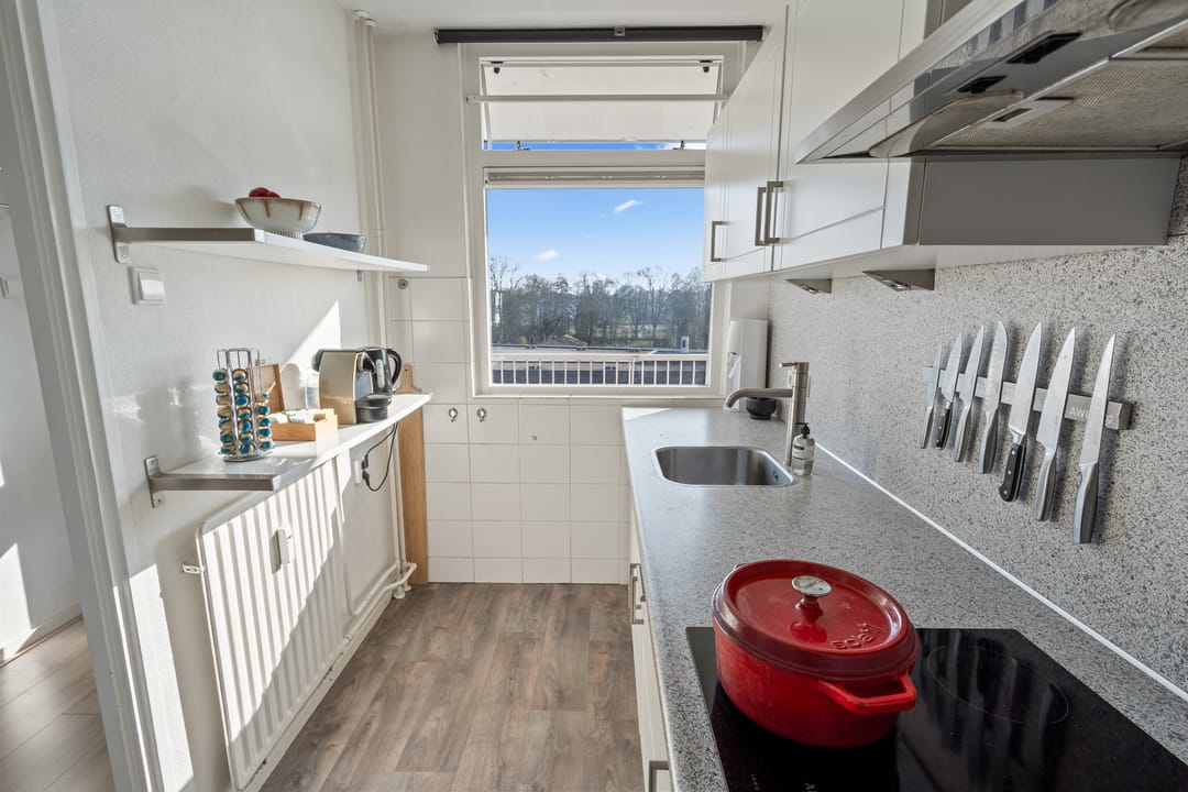 Foto 13 van Fruinplantsoen 102