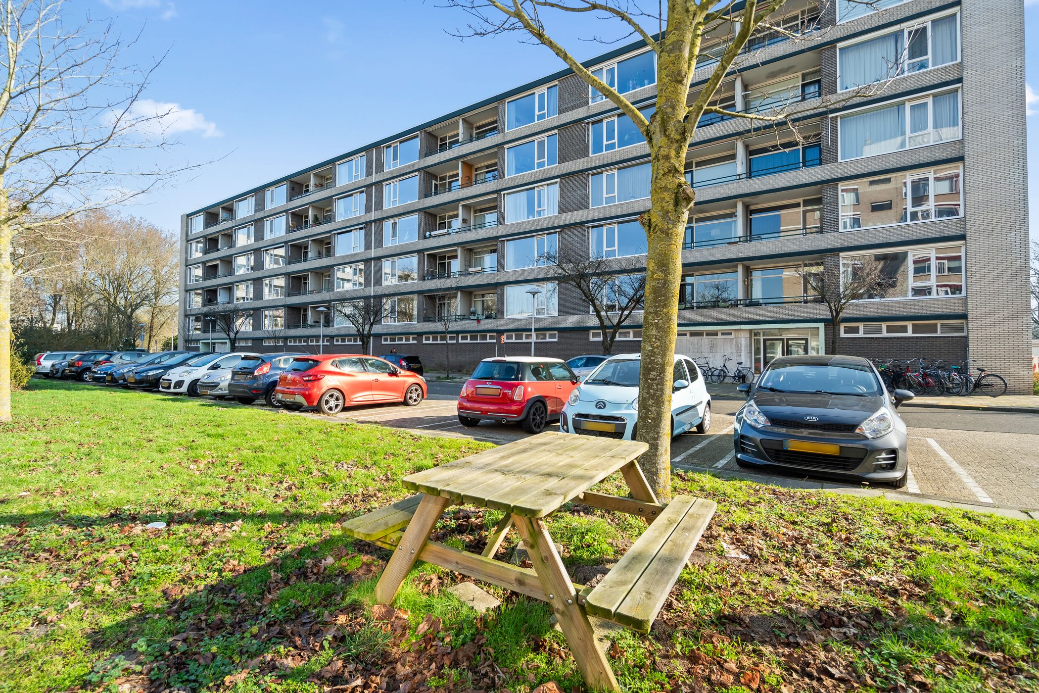 Foto 30 van Fruinplantsoen 102