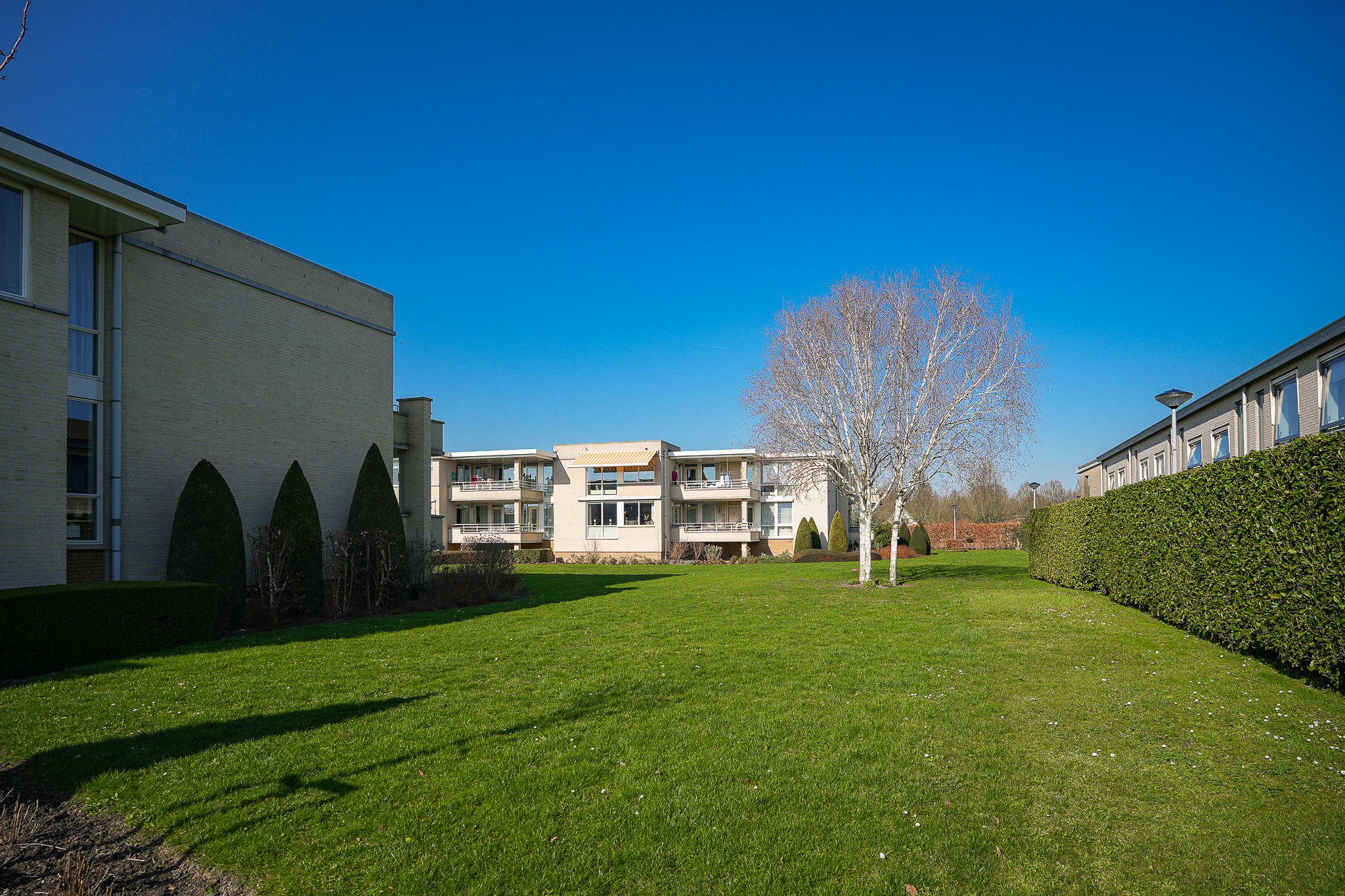 Photo 39 of De Vang 22