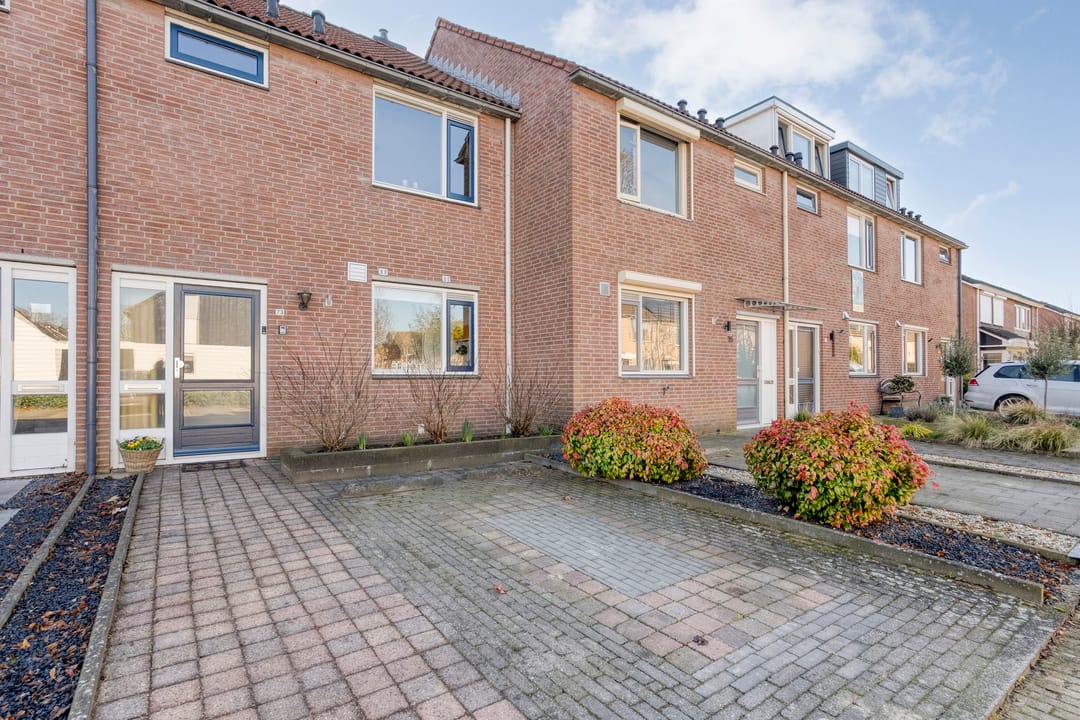 Foto 2 van Lijster 73