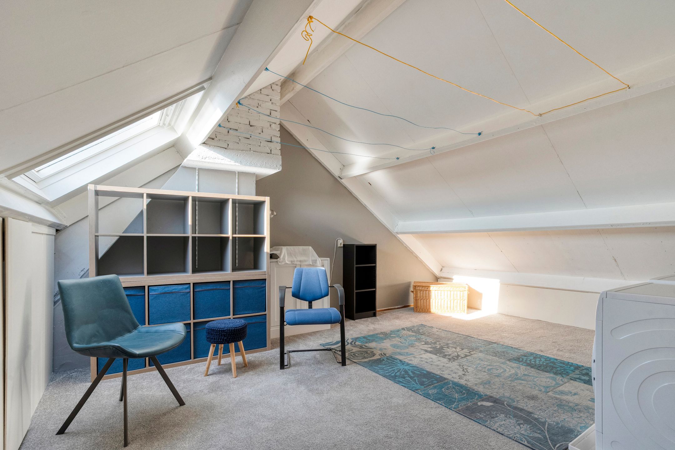 Foto 24 van Lijster 73