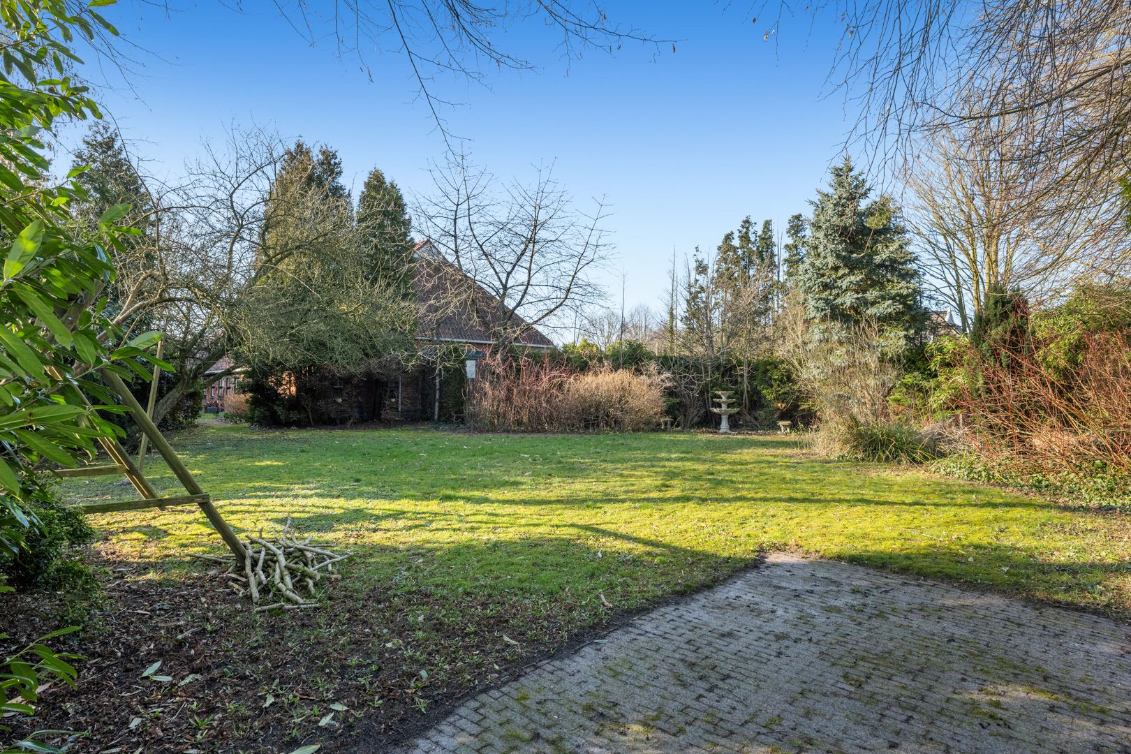 Photo 3 of Woldweg 161