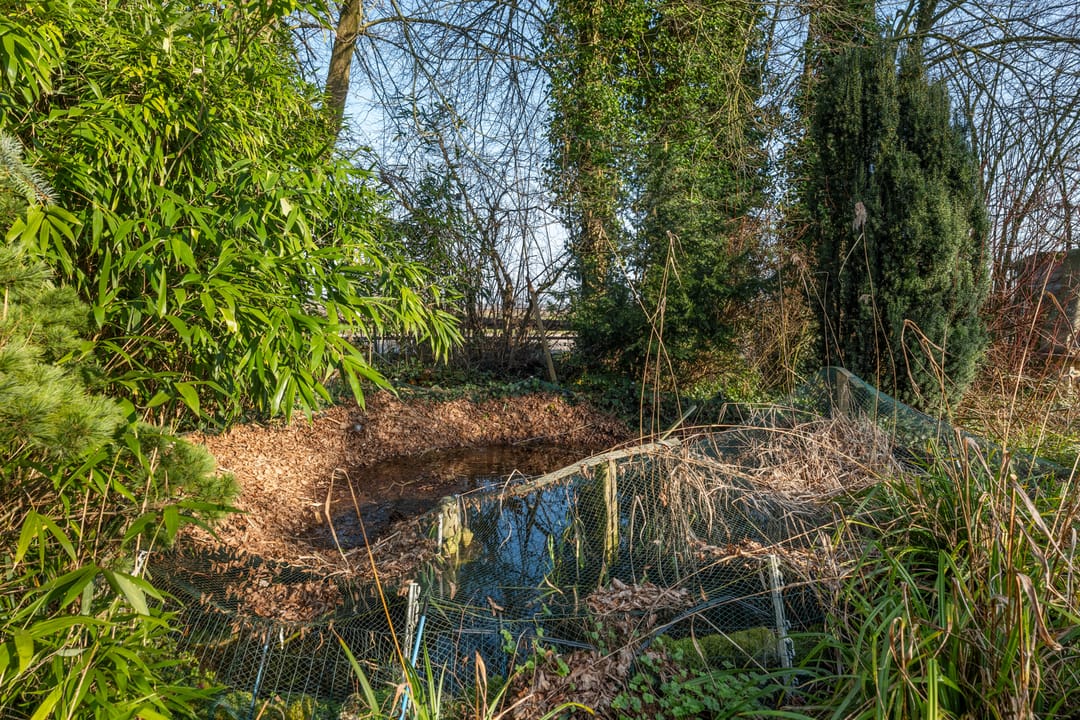 Photo 46 of Woldweg 161