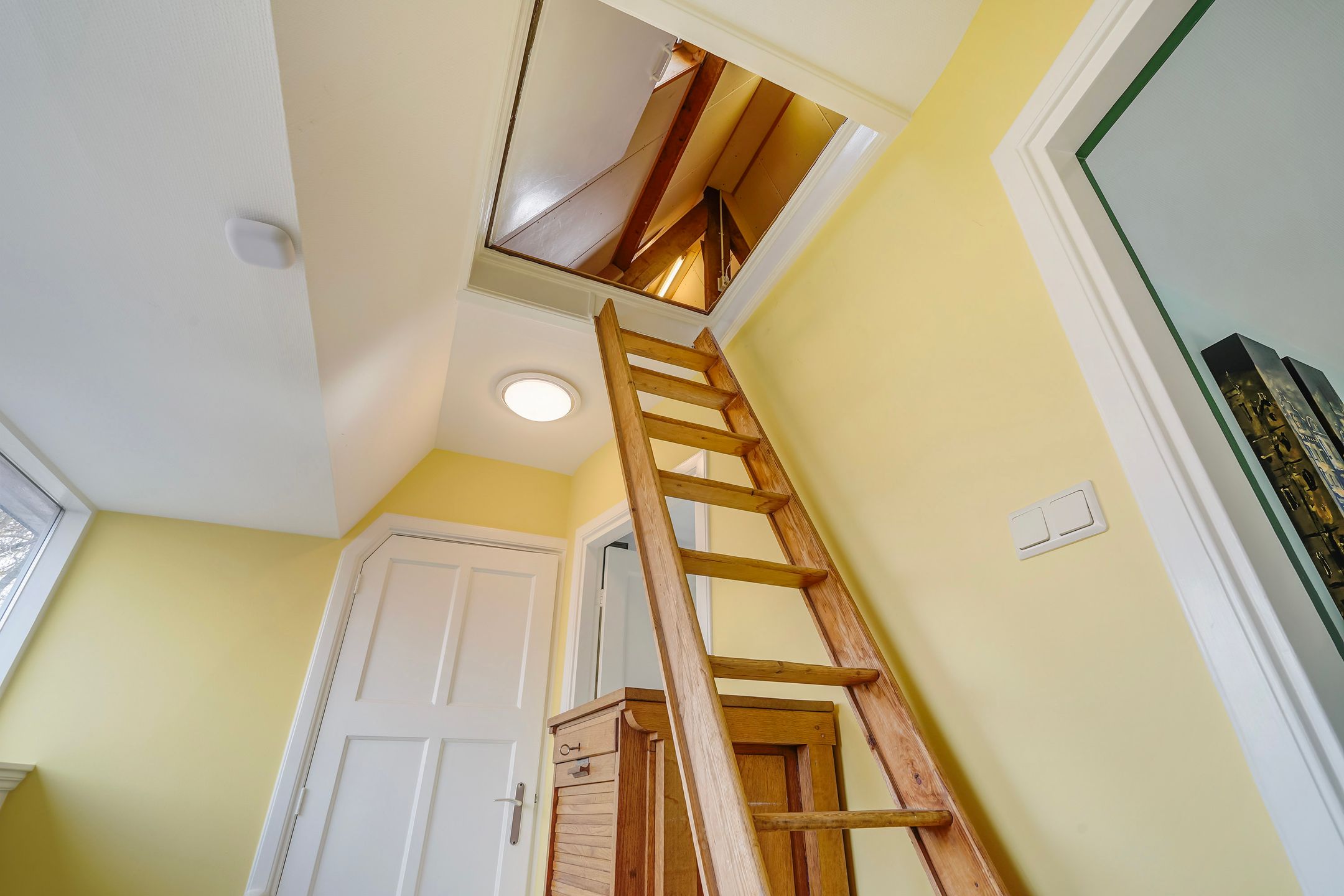 Photo 63 of Patrijslaan 2