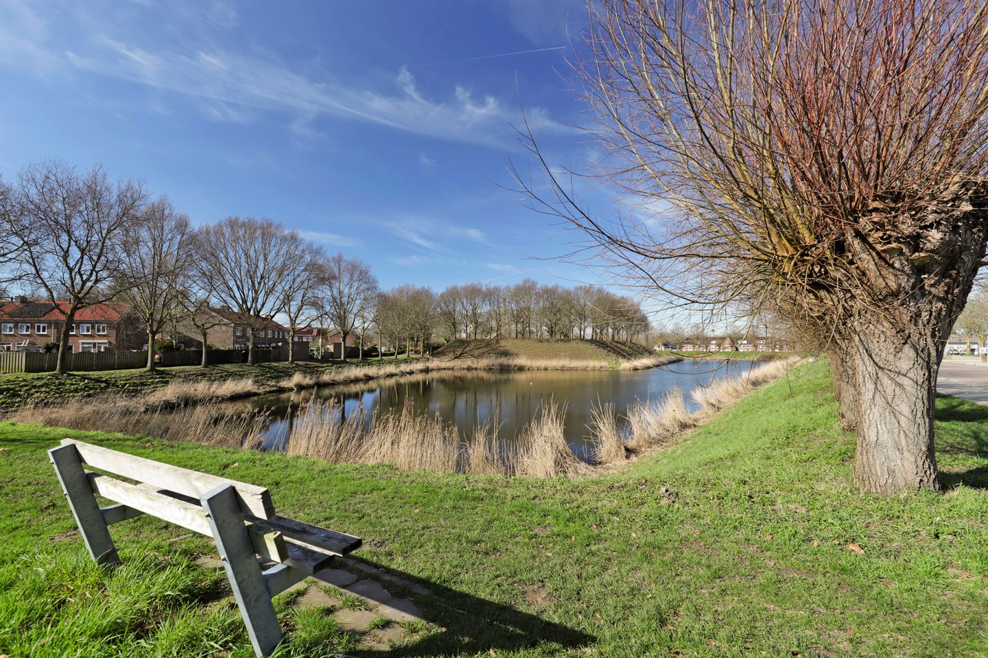 Foto 49 van Adriaen Aertszoonstraat 1