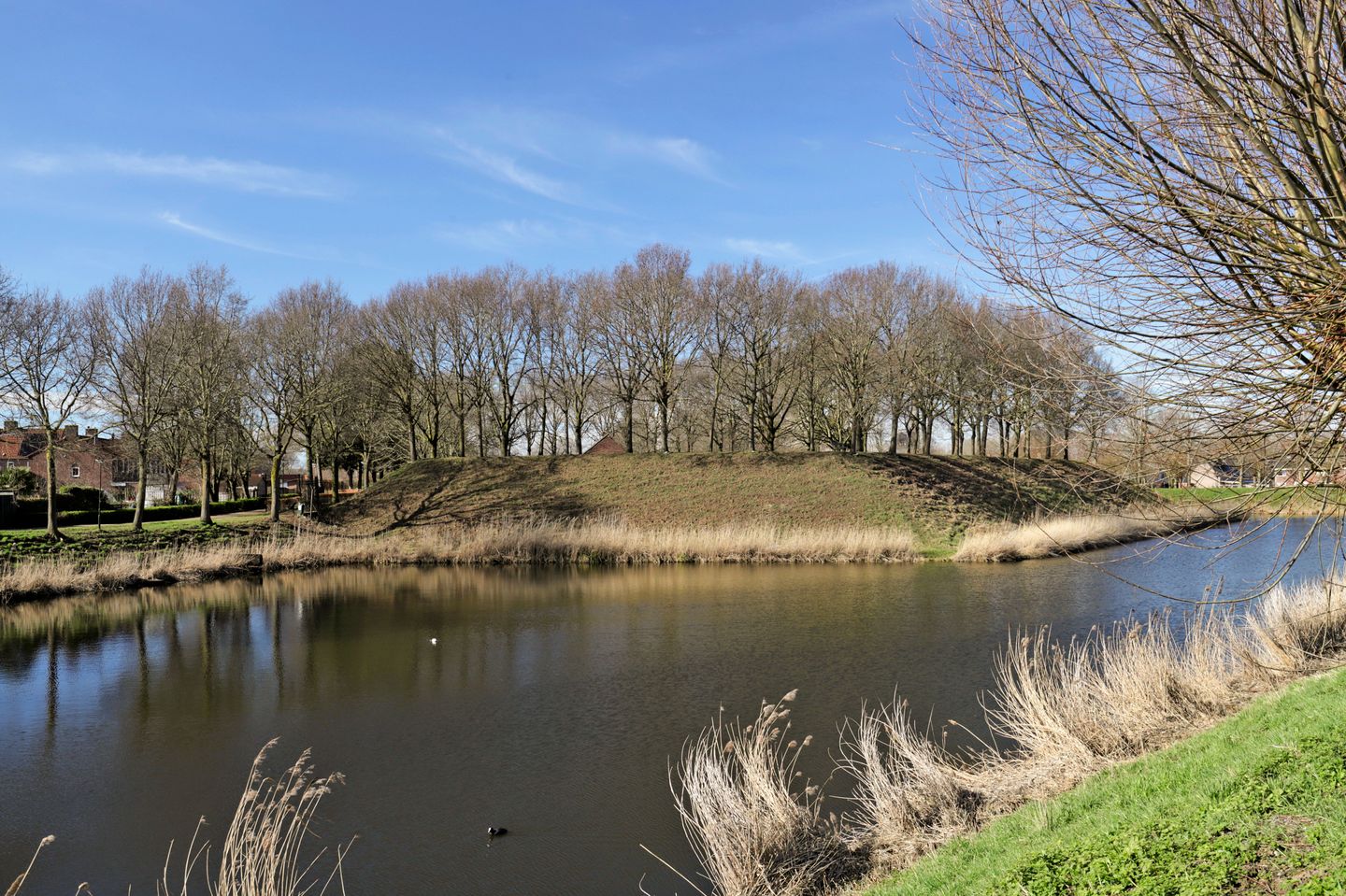 Foto 50 van Adriaen Aertszoonstraat 1