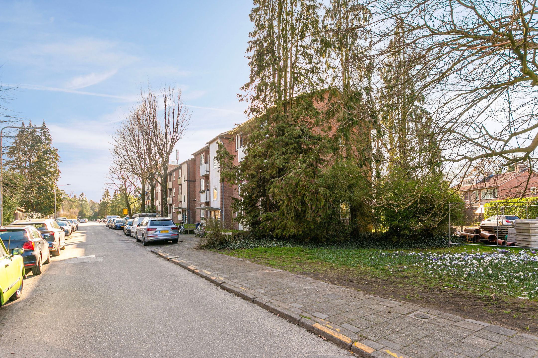 Photo 27 of Van Tetslaan 53