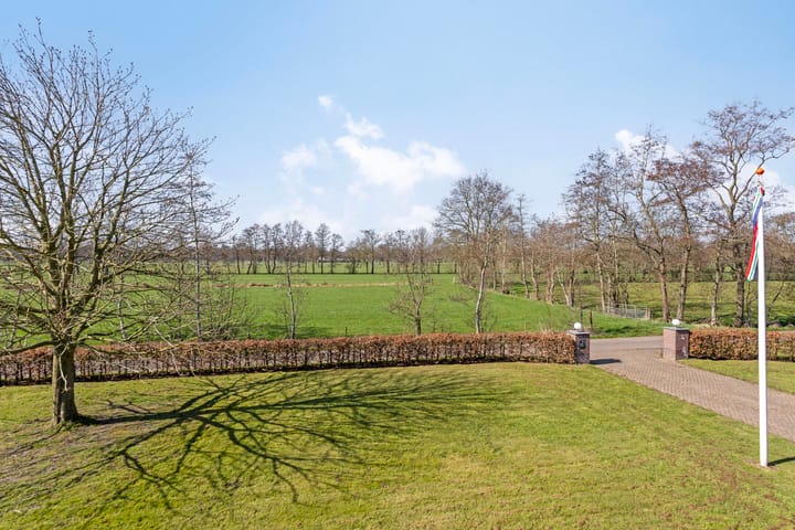 Foto 2 van de Wit's reed 2-A