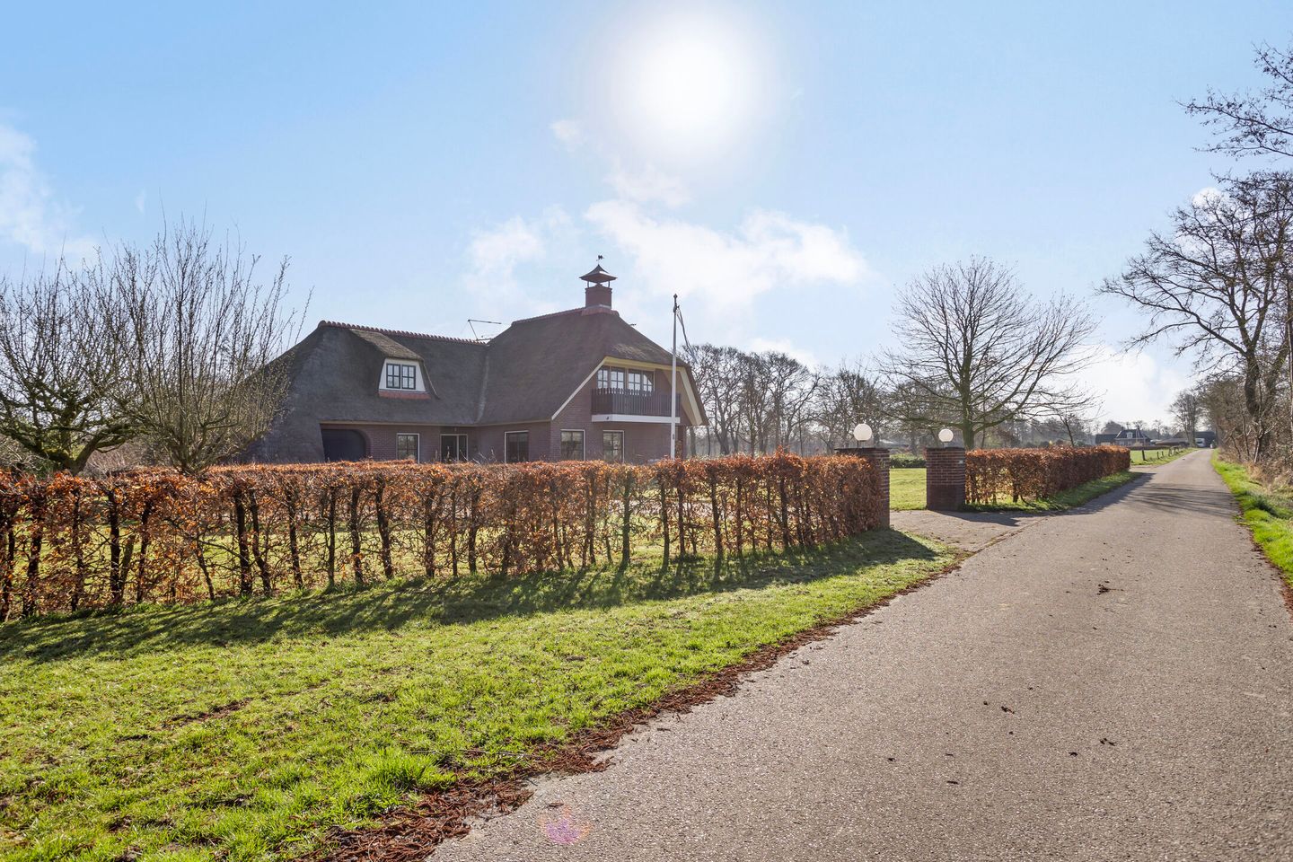 Foto 4 van de Wit's reed 2-A