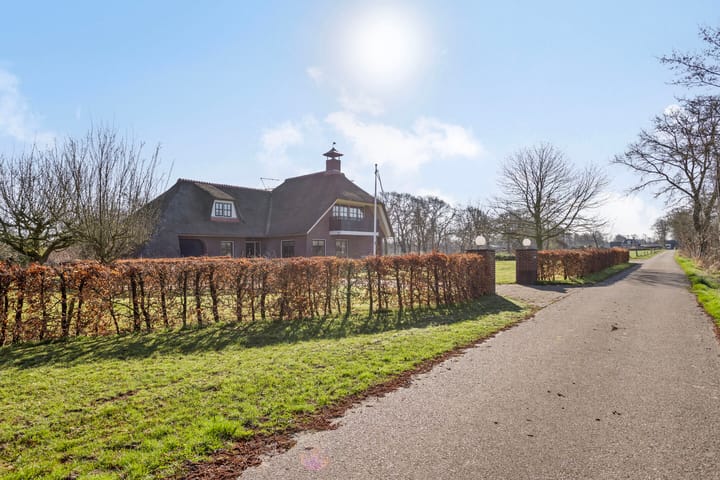 Foto 4 van de Wit's reed 2-A