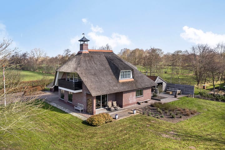 Foto 5 van de Wit's reed 2-A