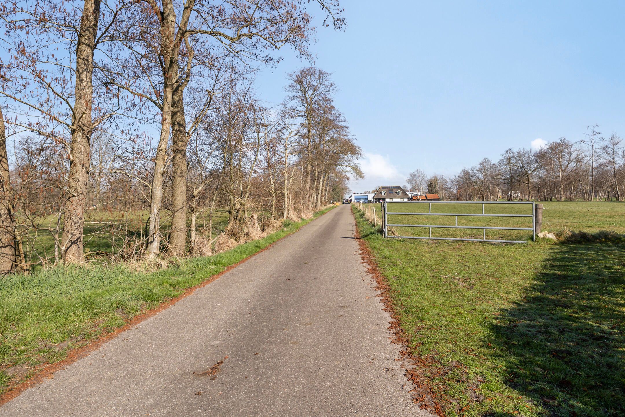 Foto 6 van de Wit's reed 2-A