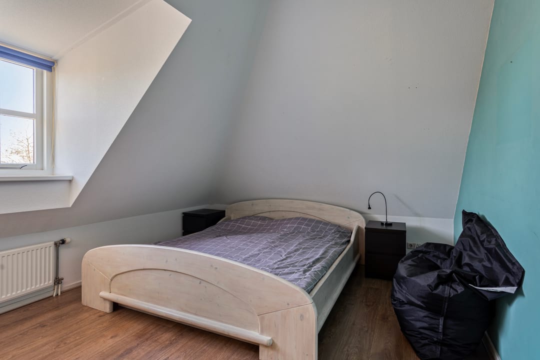 Foto 43 van de Wit's reed 2-A