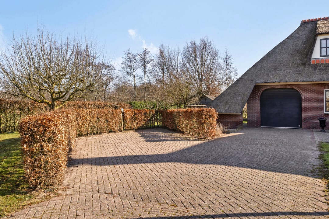 Foto 52 van de Wit's reed 2-A