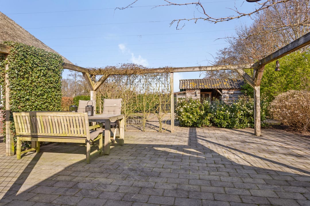 Foto 62 van de Wit's reed 2-A