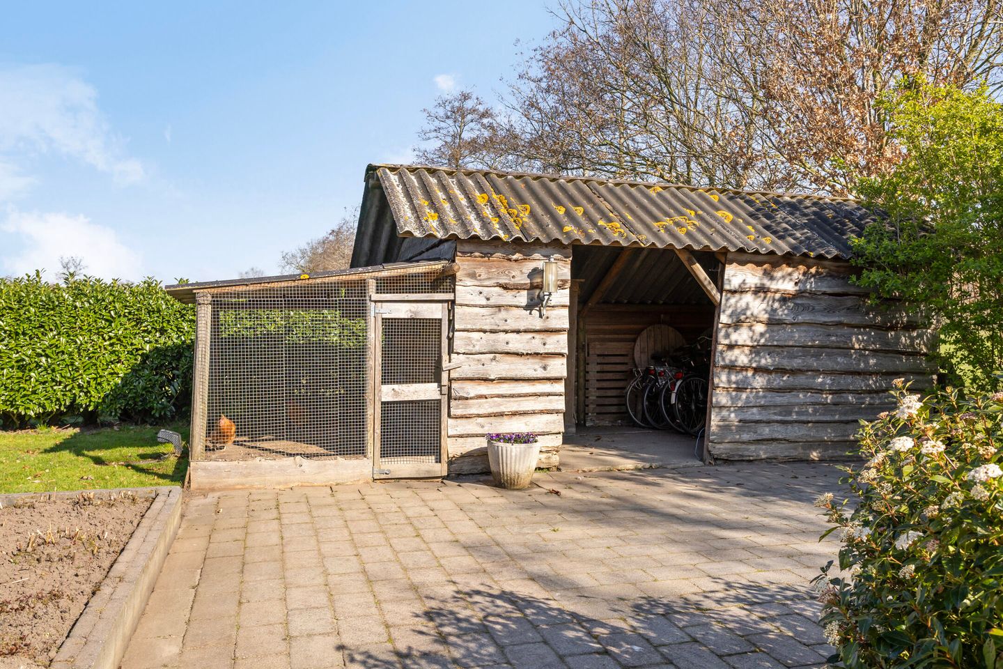 Foto 64 van de Wit's reed 2-A