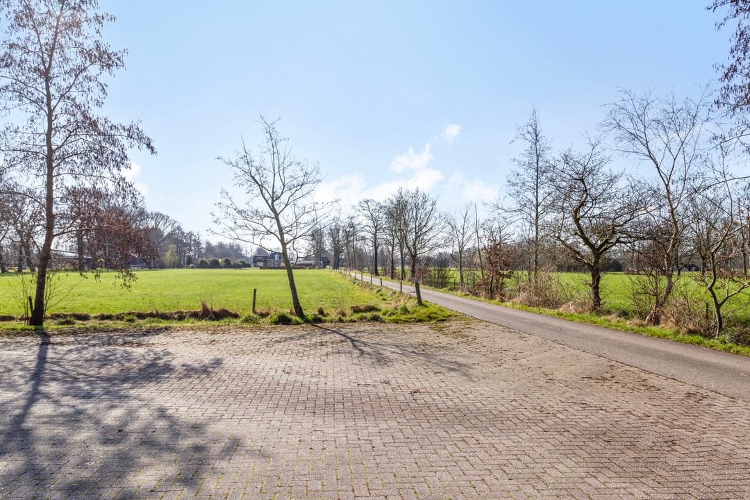 Foto 67 van de Wit's reed 2-A