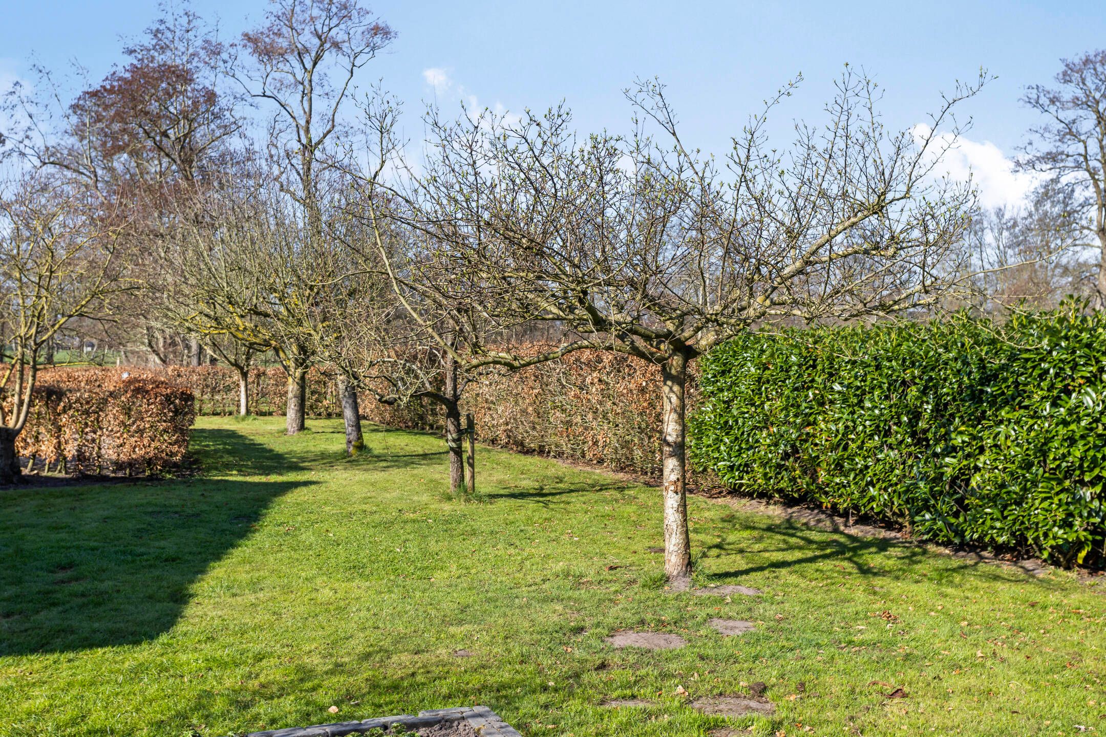 Foto 66 van de Wit's reed 2-A