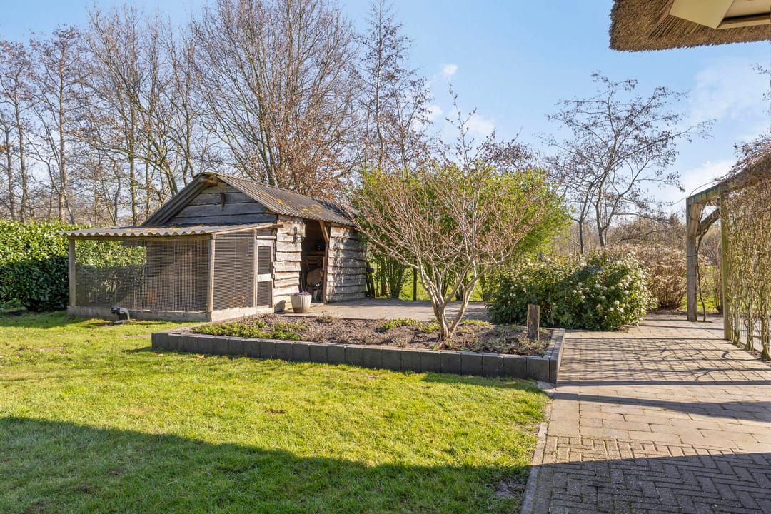 Foto 71 van de Wit's reed 2-A