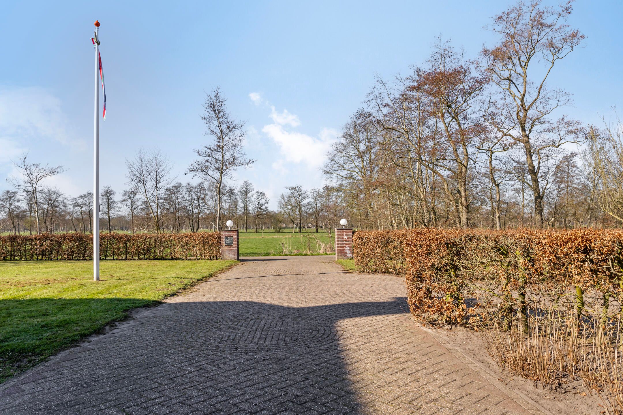 Foto 72 van de Wit's reed 2-A