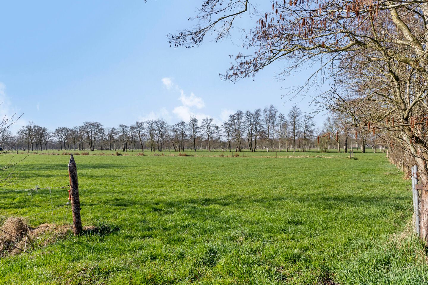 Foto 74 van de Wit's reed 2-A