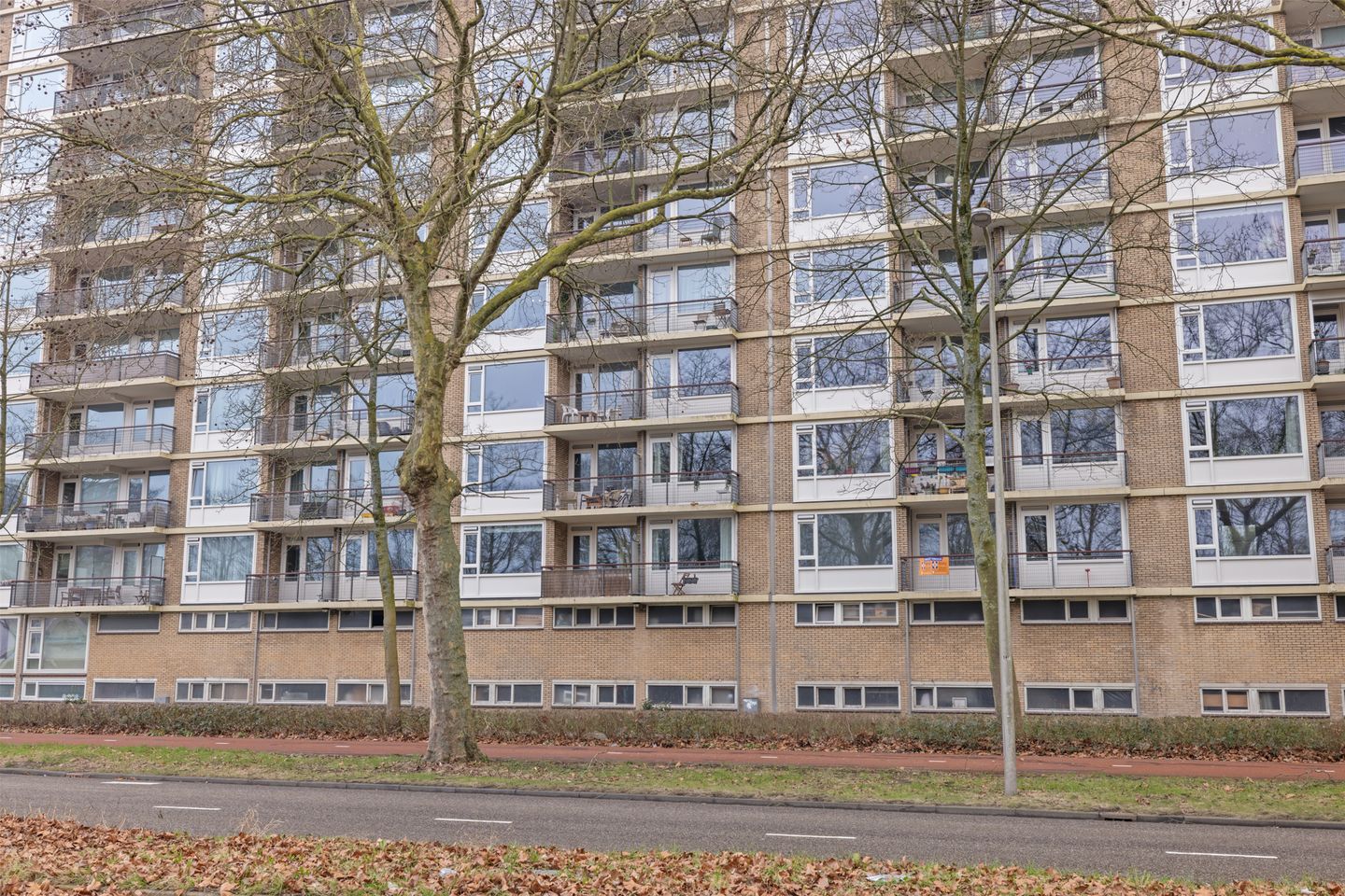 Foto 40 van Livingstonelaan 782