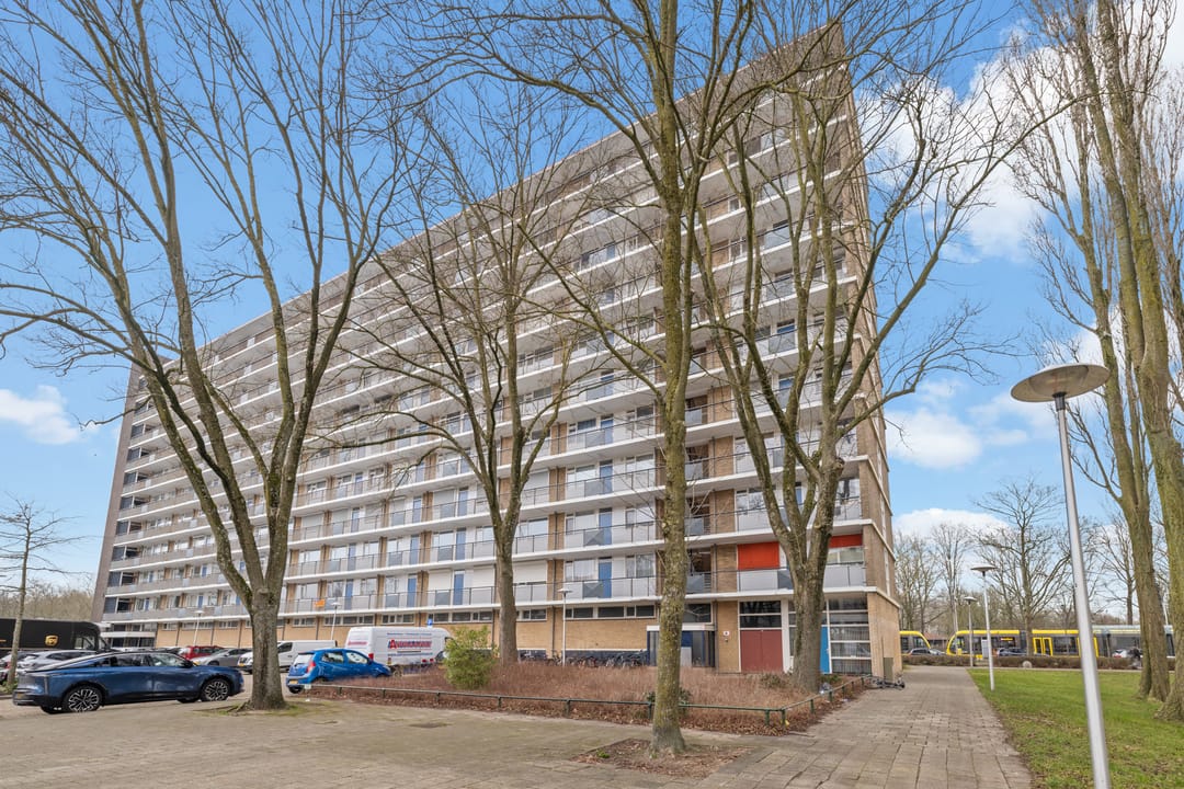 Foto 41 van Livingstonelaan 782