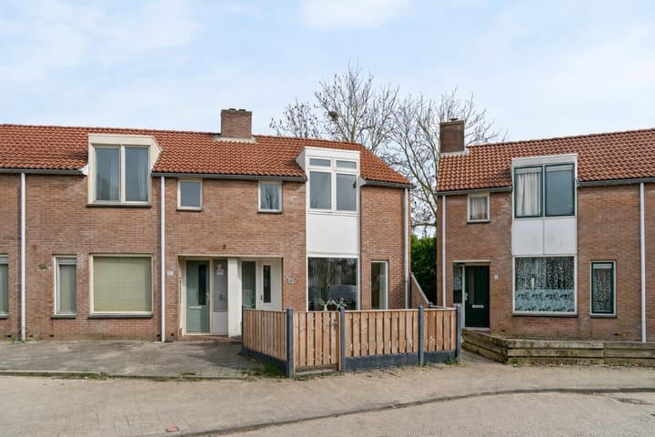 Foto 4 van Ekster 4