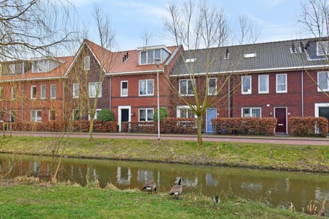 Lint van Ackerswoude thumbnail