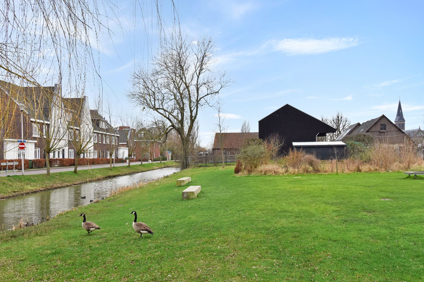 Foto 55 van Lint van Ackerswoude 22