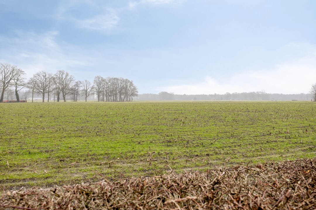 Photo 41 of Kleuvert 15