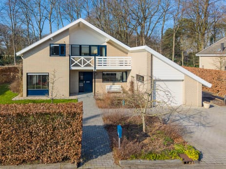 Boerhoorn 6 tertiary image