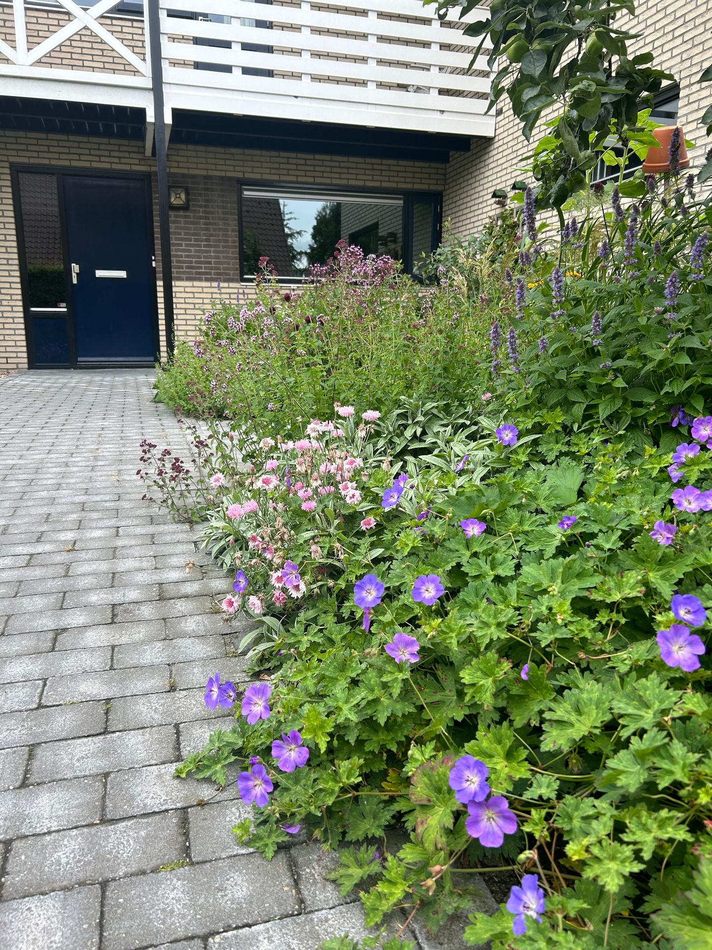 Foto 5 van Boerhoorn 6