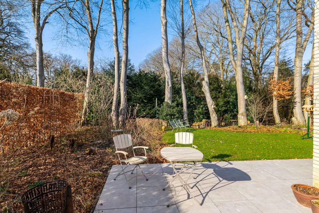 Foto 7 van Boerhoorn 6