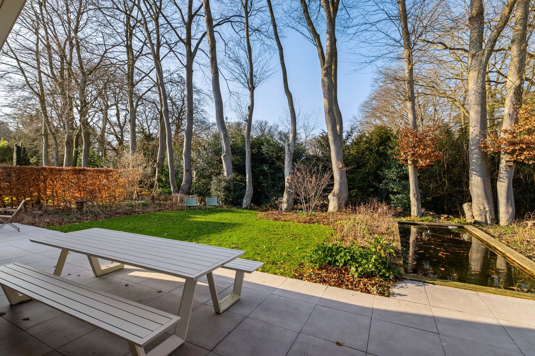 Foto 11 van Boerhoorn 6