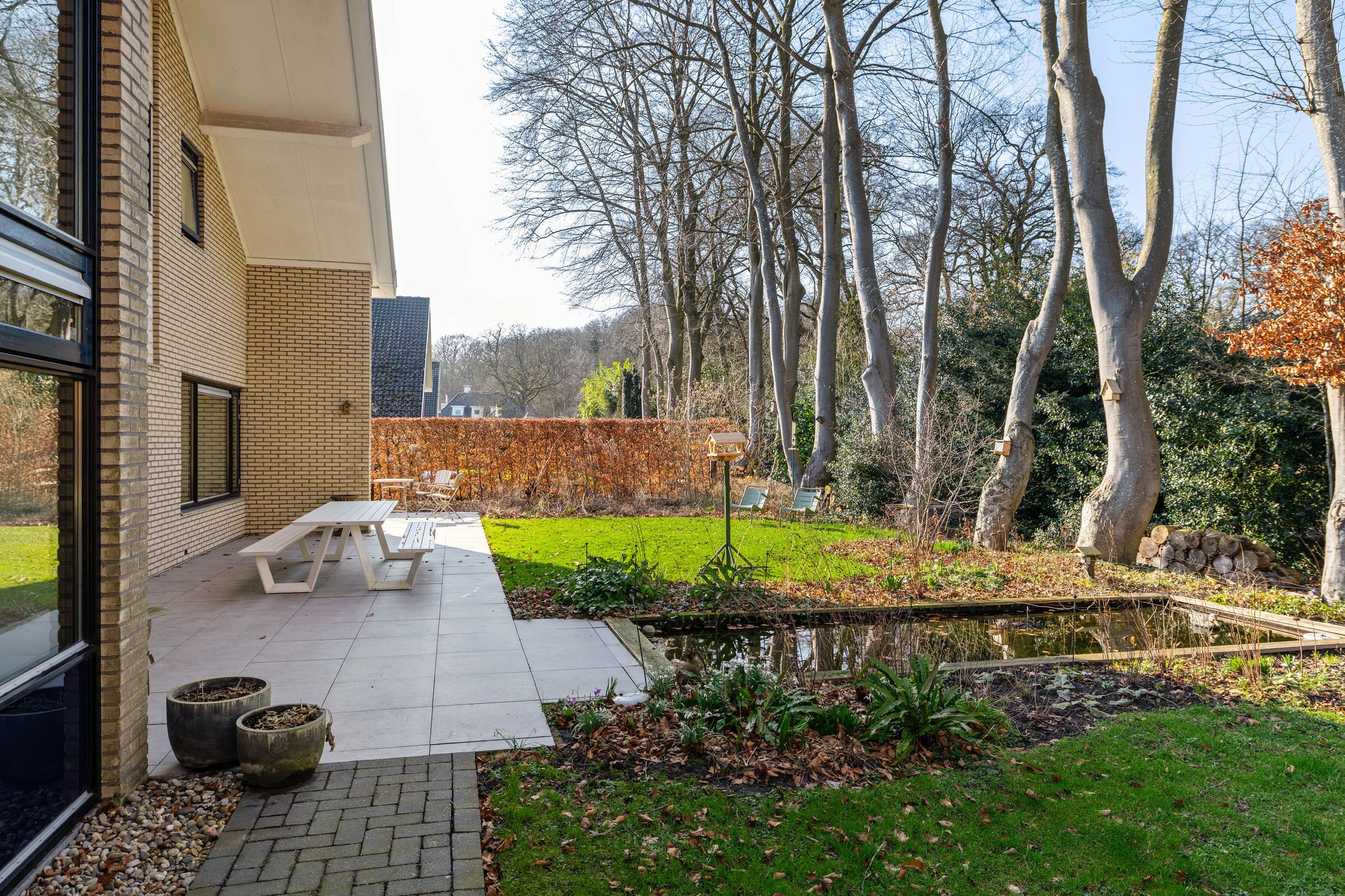 Foto 12 van Boerhoorn 6