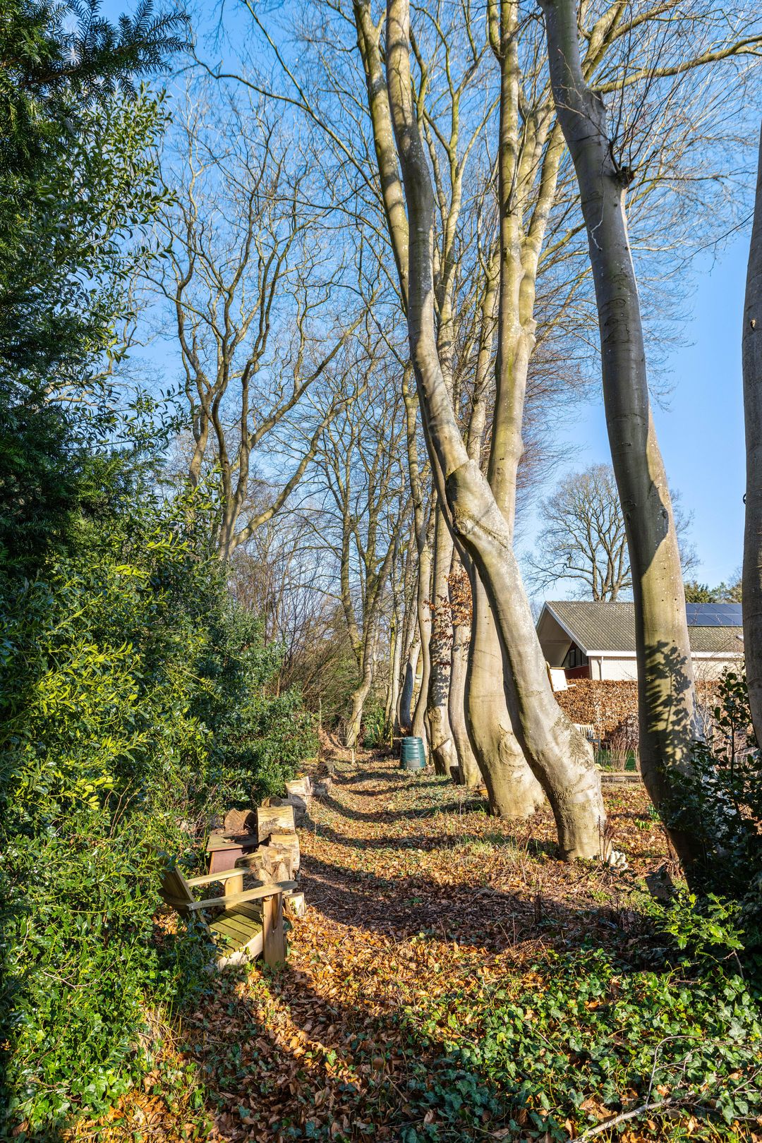 Foto 13 van Boerhoorn 6