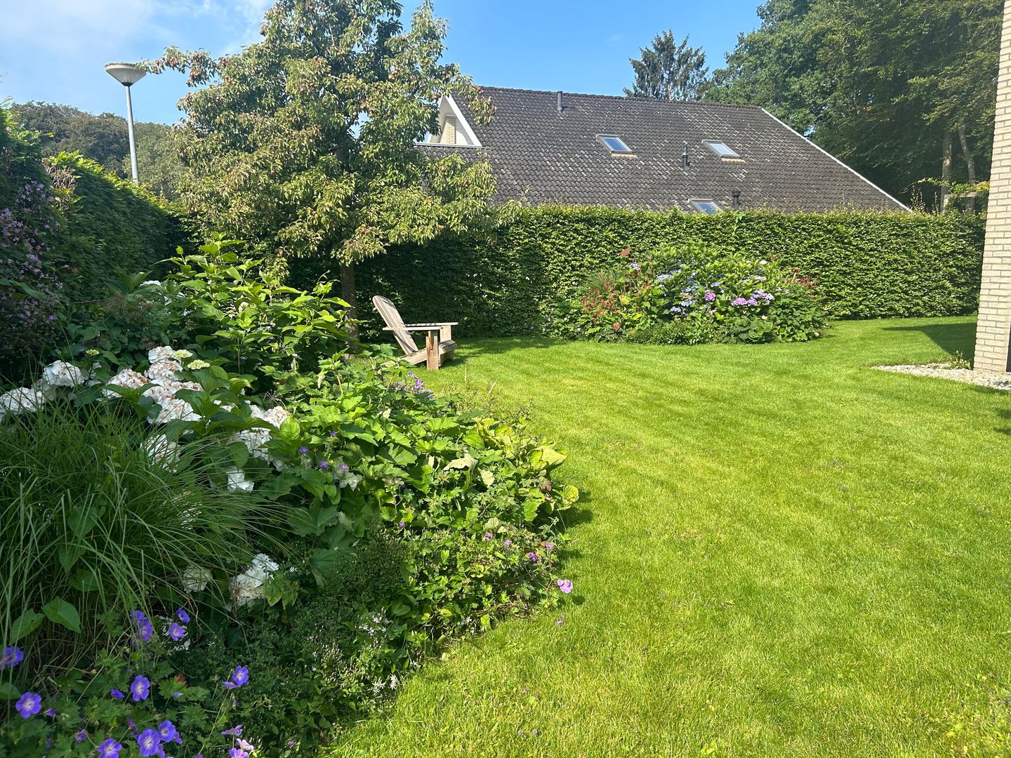 Foto 14 van Boerhoorn 6