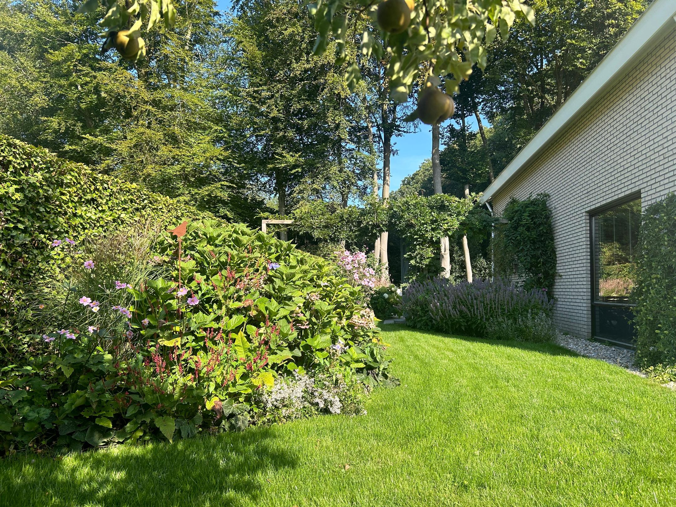 Foto 15 van Boerhoorn 6