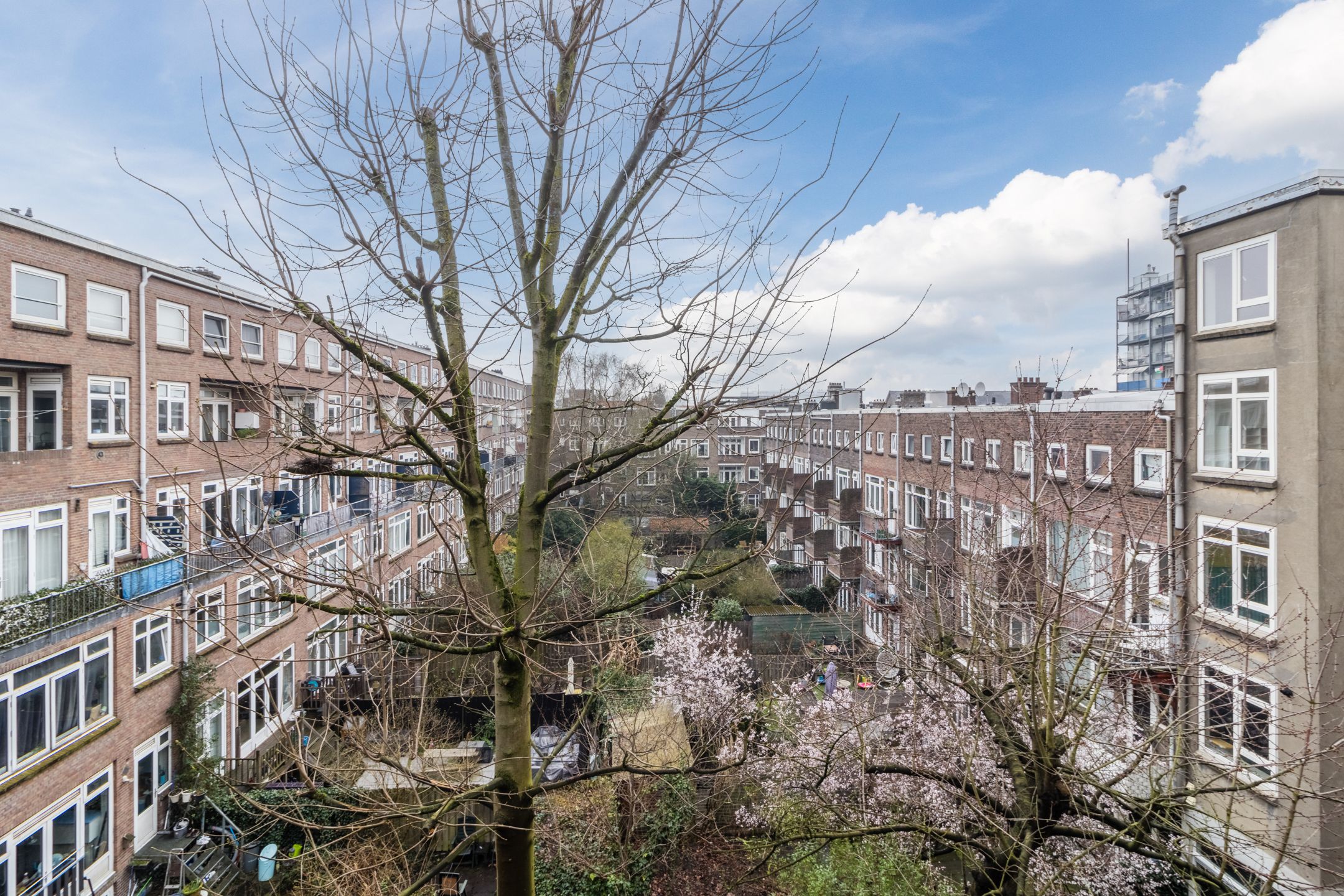 Foto 9 van Bergselaan 263-C