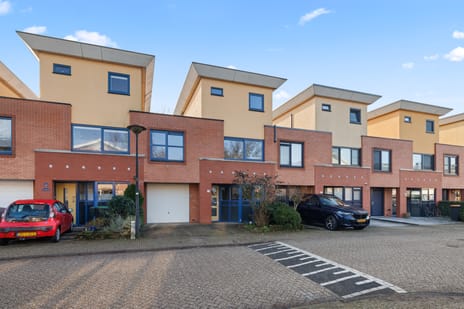 Parnaskruid thumbnail