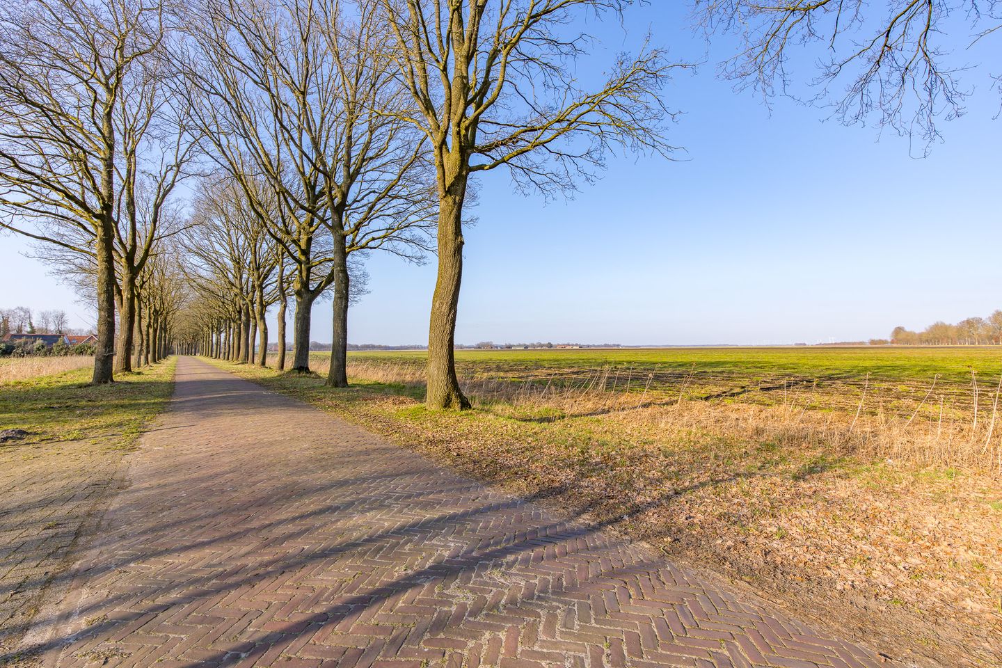 Foto 4 van De Bruilweg 8