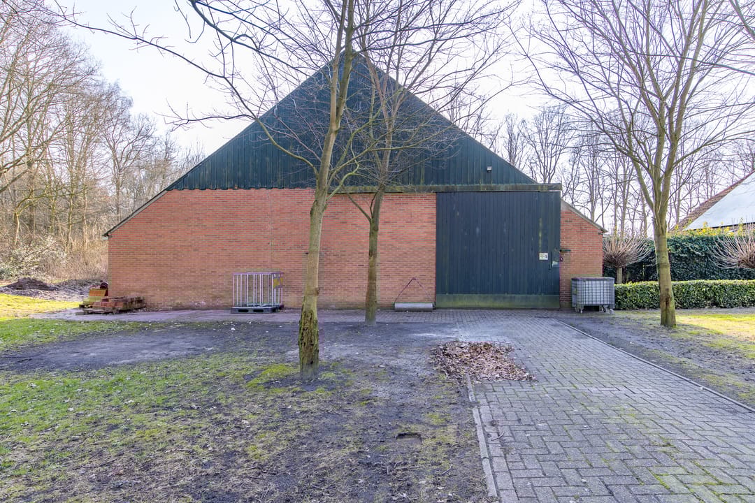 Foto 41 van De Bruilweg 8