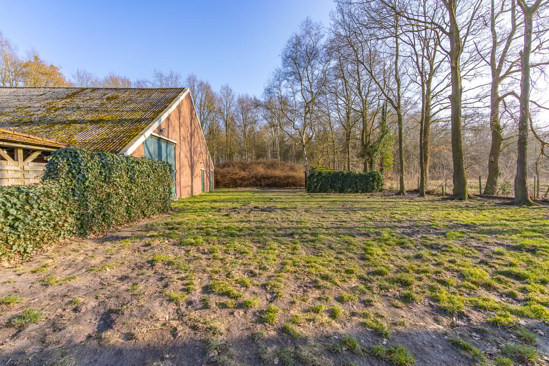 Foto 52 van De Bruilweg 8