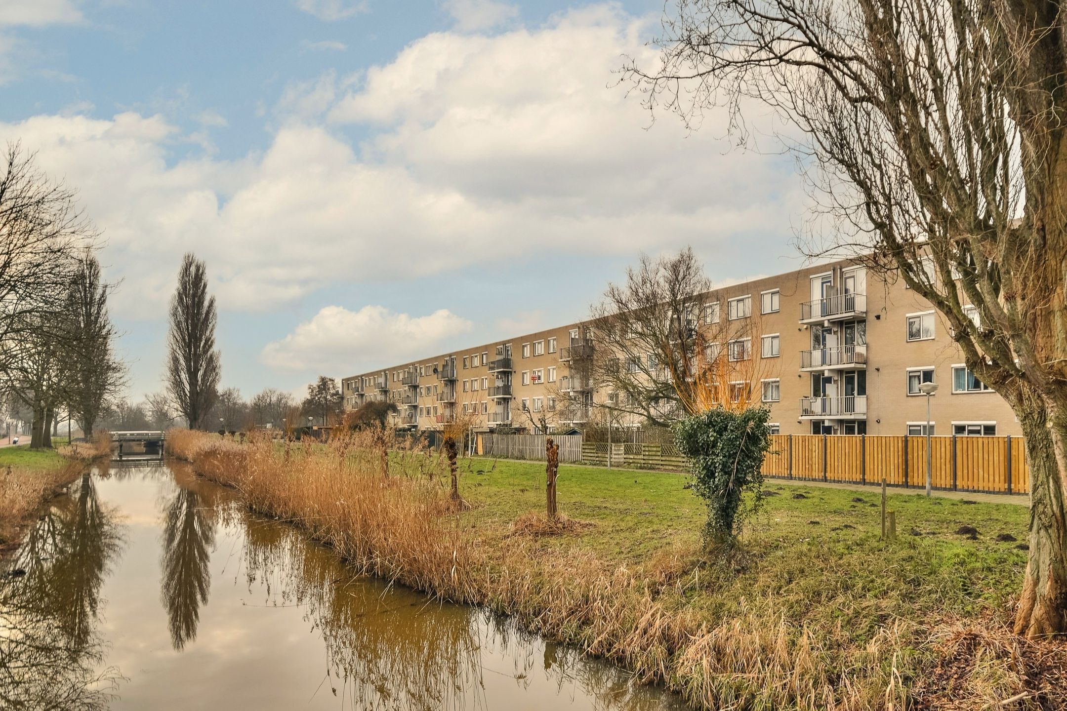 Schaarsbergenstraat 110 